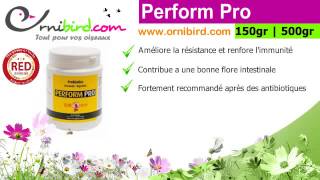 Perform Pro  Probiotiques  Ornibirdcom [upl. by Sallyann539]