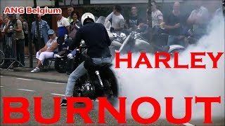 HARLEY DAVIDSON BURNOUT IN BELGIUM [upl. by Towroy]