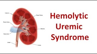 Hemolytic Uremic Syndrome [upl. by Jephum]