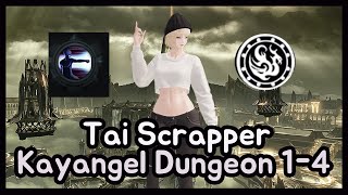 Lost Ark Tai Scrapper Kayangel Dungeon 14 with Comments [upl. by Sikata696]