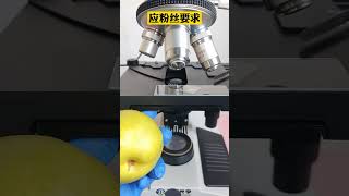 microscope shorts video 😱😱 youtubeshorts shortsvideo knowledgefactory viral [upl. by Selohcin]