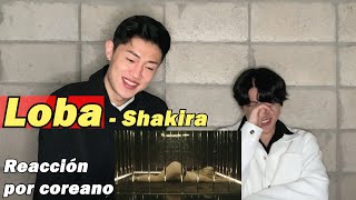 Loba Reacción por coreano  Shakira [upl. by Vharat537]