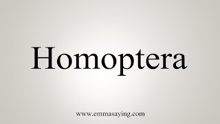 How To Say Homoptera [upl. by Witt]