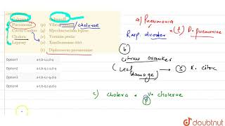 Match items of column I with thoses of column II and choose the correct combinations Column [upl. by Bethena]