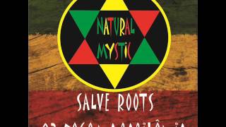 03  Natural Mystic  Fogo Na Babilônia  SALVE ROOTS [upl. by Auhsuj]