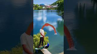 Artificial peacock water transport through special effects youtubeshorts vfx funny viralshorts [upl. by Lasley911]