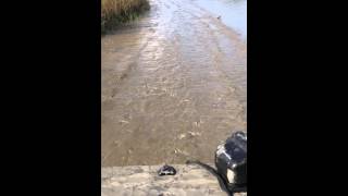 A real mud boat with gator trax with JC Andries driving [upl. by Landmeier758]