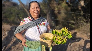 Campeona mexicana nos cocinó las flores silvestres de Hidalgo [upl. by Ahsead]