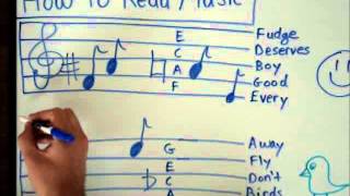 How to Read Music  Basics for Beginners  Music Theory Lesson [upl. by Barmen]