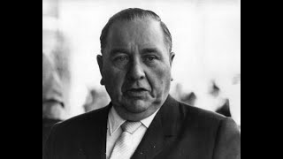 The Daley Years  The Legacy Of Mayor Richard J Daley [upl. by Torras]