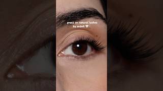 Press On Natural Lashes by Ardell 🤍🫧 collaboration [upl. by Gambrill]