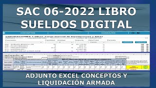 Libro sueldos digital aguinaldo junio 2022 afip [upl. by Ahsimin108]