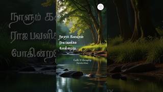 சங்கீத மேகம்  Lyrics 90s love trending status shorts spb tamil [upl. by Ttenaj]