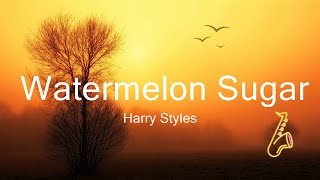 Harry Styles  Watermelon Sugar  Music Regina [upl. by Iives508]