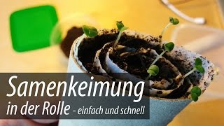 Samenkeimung in der Rolle  so gehts schnell und einfach [upl. by Atik553]