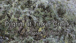 Pilgrim at Tinker Creek chapter 3 discussion [upl. by Naggem]