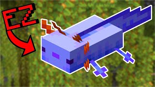 Get the Rare Blue Axolotl Easy  Ultimate Axolotl Guide Minecraft 120  How to Breed Axolotls [upl. by Intosh]