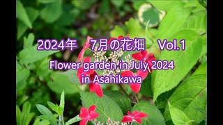 4K 2024年7月の花畑Vol1 Flower garden in July 2024 in Asahikawa [upl. by Skeie457]