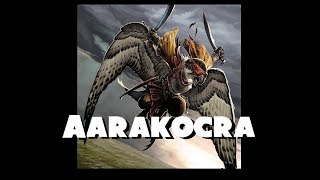 Dungeons and Dragons Lore Aarakocra [upl. by Jordans]