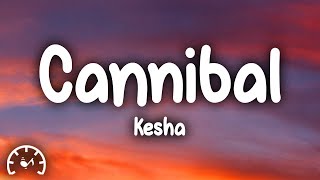 Kesha  Cannibal Lyrics [upl. by Devinne]