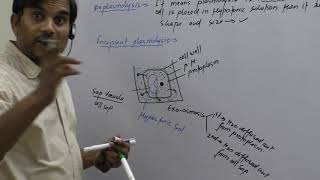 Plasmolysis Incipient Plasmolysis and Deplasmolysis [upl. by Ahseined]