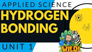 BTEC Applied Science Unit 1  Hydrogen Bonding [upl. by Eidaj]