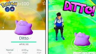 DITTO IN POKEMON GO New Pokemon Go DittoShiny Leak News  New Double XPStardust Event [upl. by Ahteral]