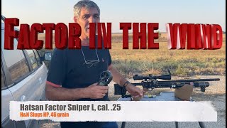 Hatsan Factor Sniper L cal 25 with slugs HampN HP 46 grain in the wind english subs [upl. by Kinghorn]