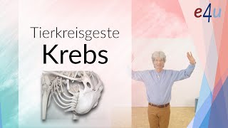 Tierkreisgeste Krebs [upl. by Suoivatnod]