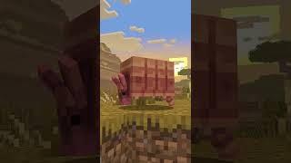 Armadillo In Minecraft Vote Or Pass [upl. by Neved]