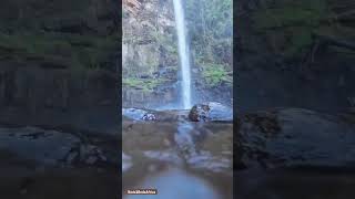 LONE CREEKS WATERFALLS  NELSPRUIT MPUMALANGA 🇿🇦 🔥❤️ shorts life nature travel tourism africa💕 [upl. by Barney640]