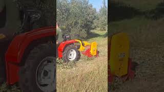 Very powerfull mulcher  mulcher tractor destroyer crazy usa croatia hrvatska [upl. by Skier]