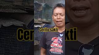 Cerito sakti [upl. by Akinahs]