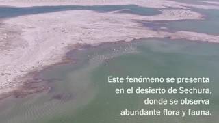 Laguna La Niña  Fenómeno del Niño Costero  Perú 2017 [upl. by Ahsauqram]