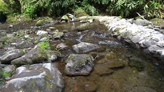 Uppermost of the Ribeira dos Caldeiroes and the Source of the Diversion [upl. by Zined]