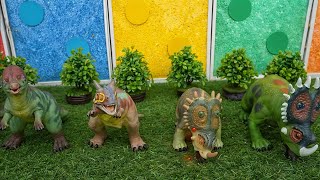 Amazing Dino Transformation  Baby Dinos Turn into Mysterious Creatures [upl. by Jannelle]