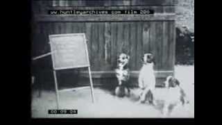 Dog teaching dogs 1930s  Film 280 [upl. by Anwad]