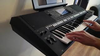 Ania Dąbrowska  Porady Na Zdrady Cover Yamaha PSR s775 [upl. by Saxe]