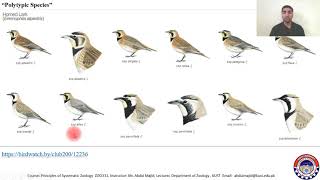 The Polytypic Species [upl. by Shimkus]