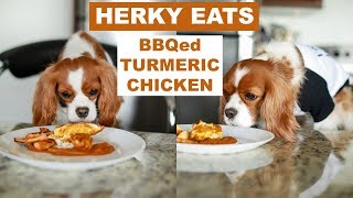 BBQed TURMERIC CHICKEN RECIPE FOR DOGS  Herky Eats [upl. by Banyaz]