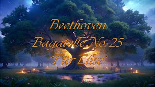 Beethoven Bagatelle No 25 in A minor WoO 59 quotFür Elisequot [upl. by Marcelia]