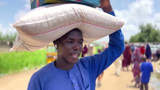 Nigerias flood survivors say theyre being told to go home  REUTERS [upl. by Inaluiak]