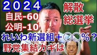 ２０２４政権交代起こる？小沢一郎が立憲民主50人引き連れ？reiwashinsengumiouen informativereiwaofvideo [upl. by Anitnelav]