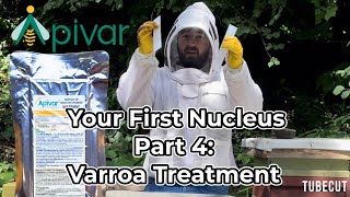 My first nucleus Part 4  Treating Bees for Varroa Mites with Apivar [upl. by Ardnwahsal]