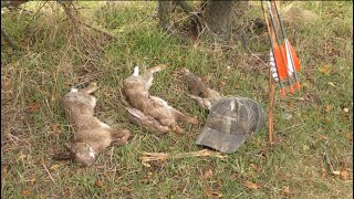 Stickbow Rabbits  Traditional Bowhunting for rabbits  Small game hunting  Tales From the Willows [upl. by Danika]