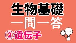 生物基礎一問一答「②遺伝子とそのはたらき」遺伝子・DNA、複製、タンパク質の合成、遺伝子の発現と生命現象 [upl. by Patton792]