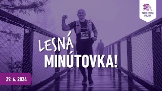 Behaj lesmi BACHLEDOVA DOLINA 29 6  MINÚTOVKA [upl. by Icats]