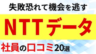 NTTデータ 社員の口コミ20選 [upl. by Alyahc404]