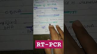 RTPCRreverse transcriptase PCR 😍molecular biology techniquebiotechnologyviralshorts [upl. by Melvin701]