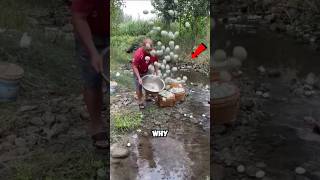 Why the Chinese are throwing eggs in the water  😲 [upl. by Justicz]